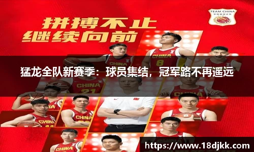 猛龙全队新赛季：球员集结，冠军路不再遥远